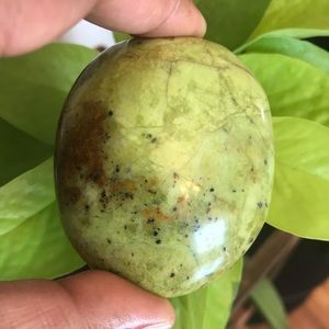 SALE!!! Green Opal Palm Stone